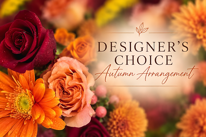 Designer\'s Choice