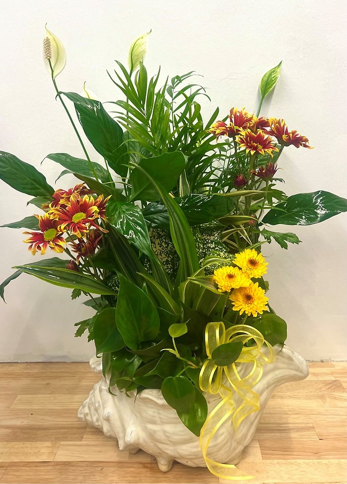 Cozy Seashell European Garden Medium