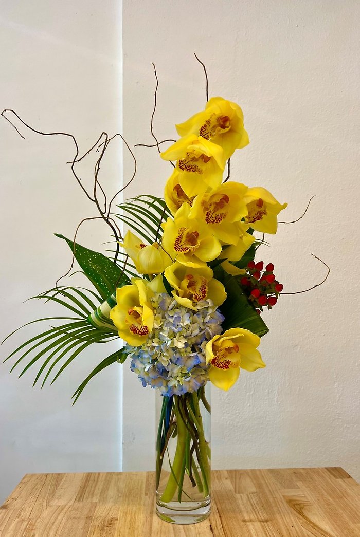 Luxurious Cymbidium Orchid