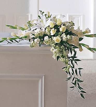 Graceful Tribute
