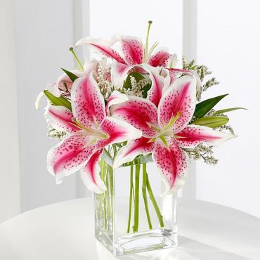 Pink Lily Celebration