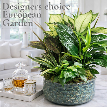 Designer\'s Choice-European Garden