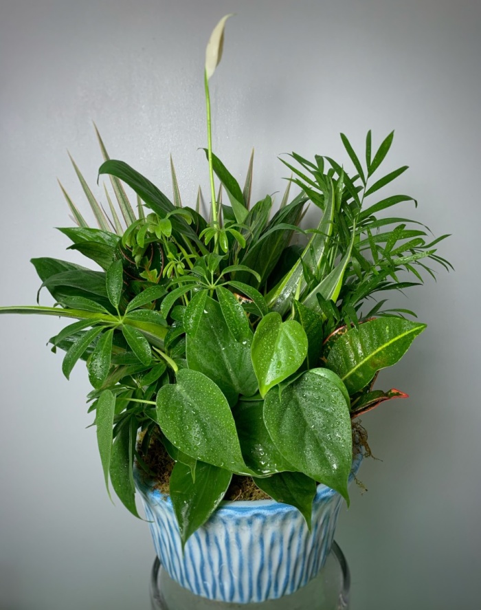 Keepsake Ceramic European Garden