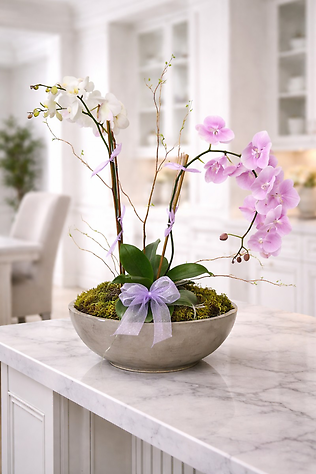 Fabulous Orchids European Garden