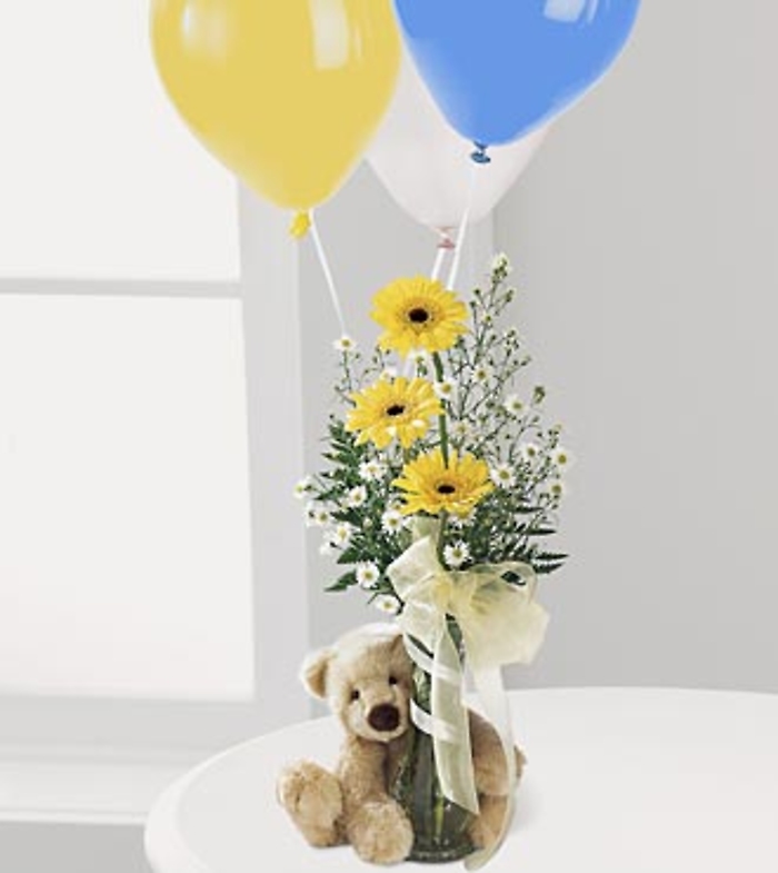 Welcome Bear