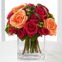 Roses