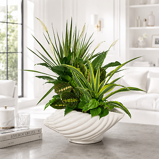 Shellabarations  Sea Shell  European Garden