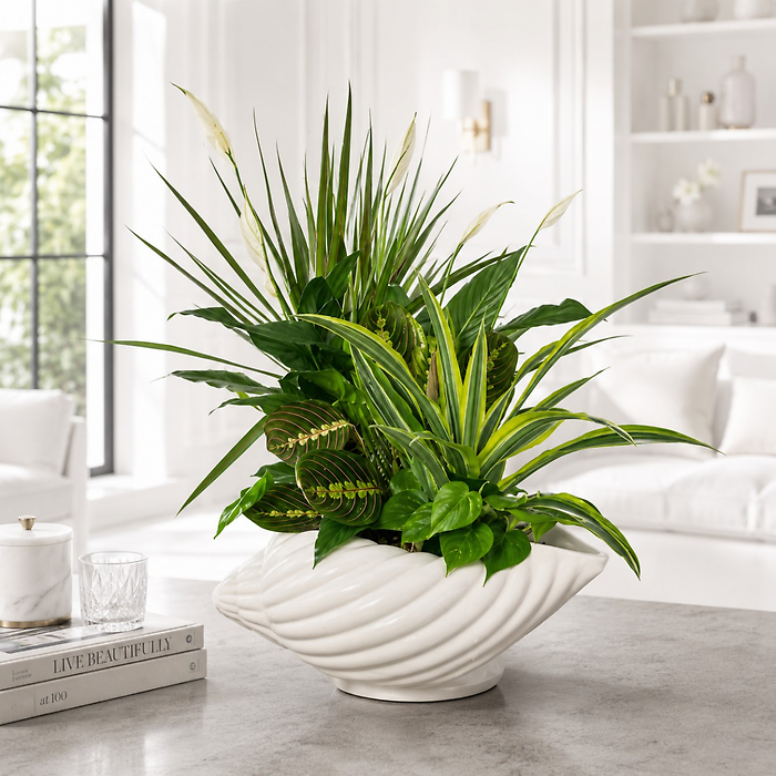 Shellabarations  Sea Shell  European Garden