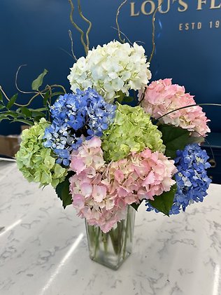 Fresh hydrangea Bouquet