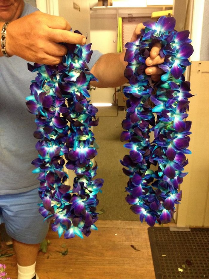 Beachy tropical vibrant blue bom orchid leis