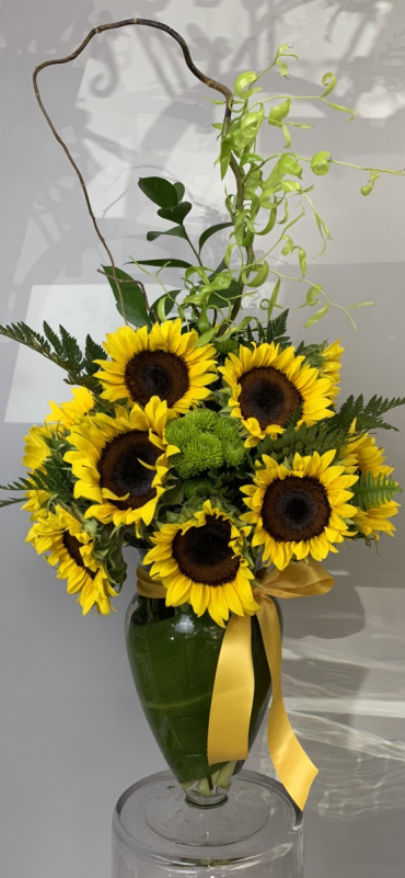 Stunning sunflowers