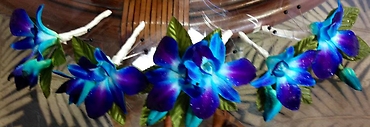 Vibrant Blue Bom Dendrobium Orchid Boutonniere