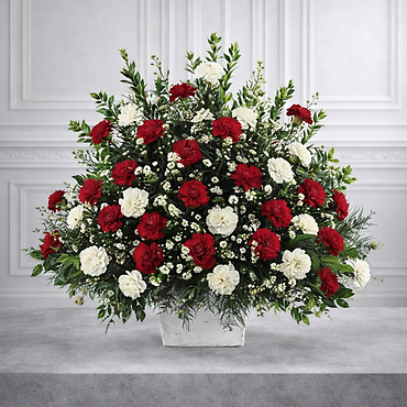 Devotions and Sympathies