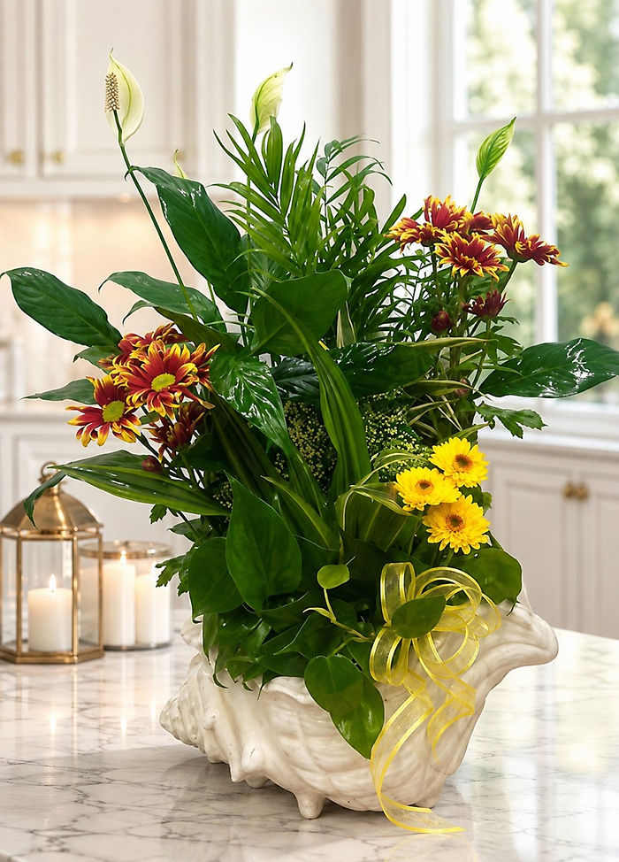 Cozy Seashell European Garden Medium